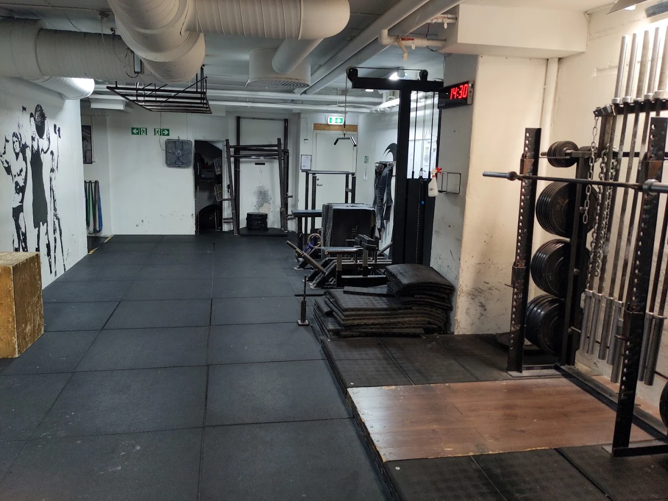 Fitness Equipment
